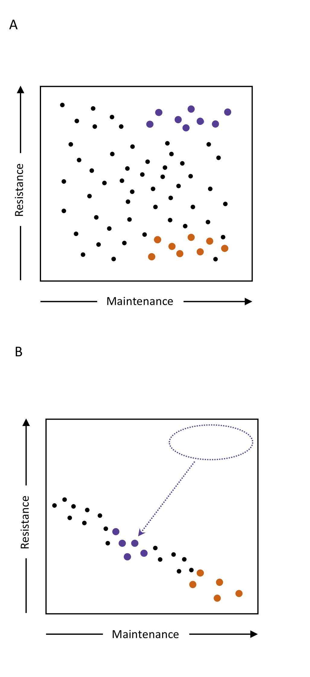 RostantEL_Figure4