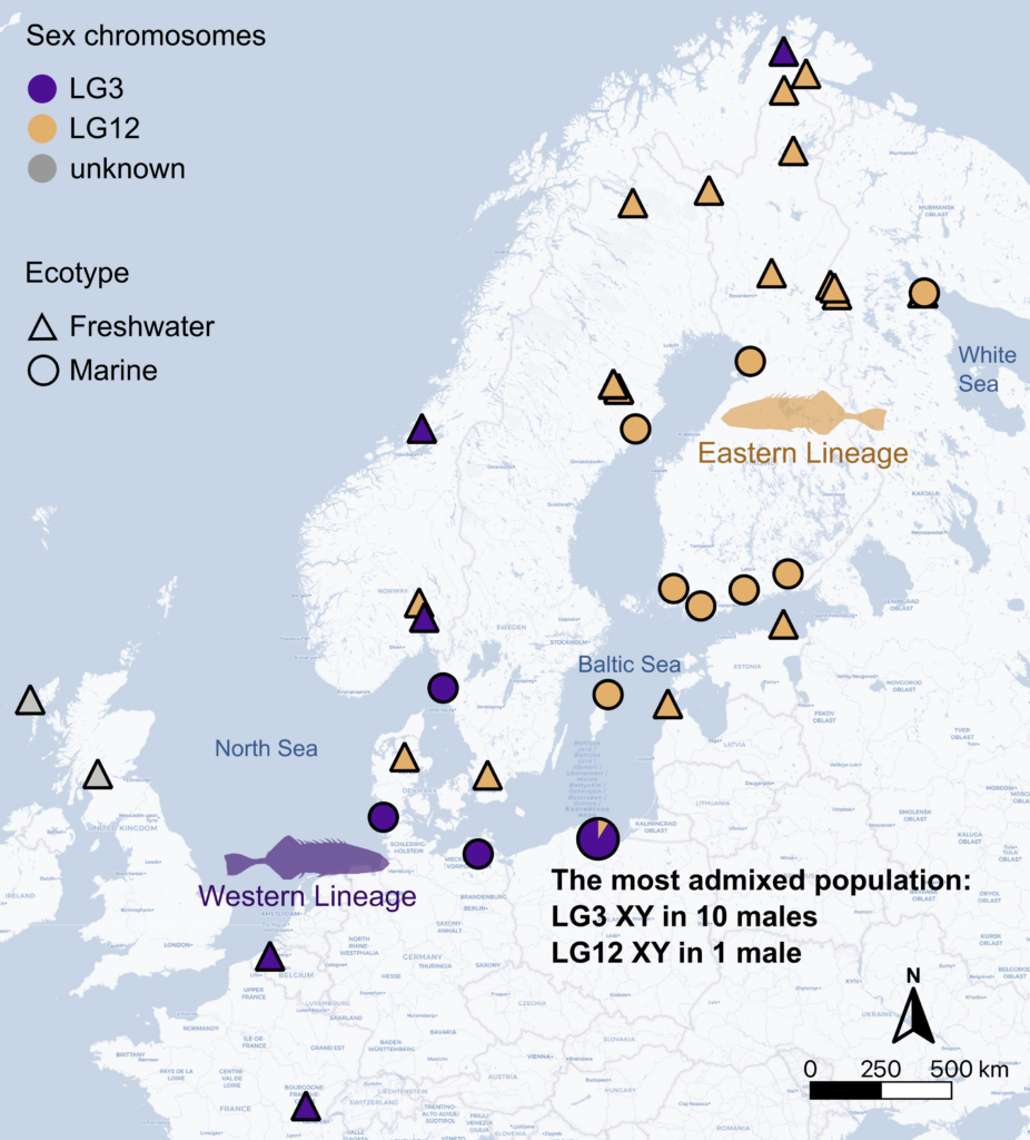 A map of northern Europe, with the occurrences of the two lineages of stickleback shown as points on the map in different colors. 