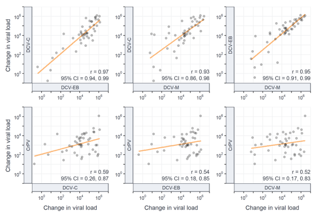 6 graphs showing the correlations between change in viral load between Dicistrovirus isolates. Trend lines are shown by an orange line. 