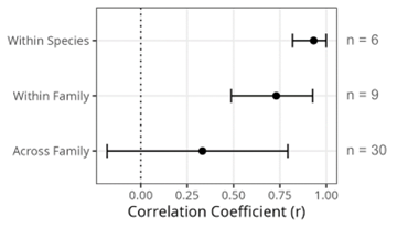 Graph showing the combined correlation estimates for pairs of viruses from within the same species (top line), same family (middle line), or different family (bottom line). 